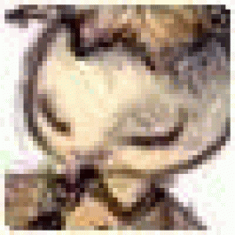 Davidoralp