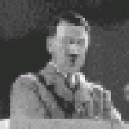 Donaldzonia