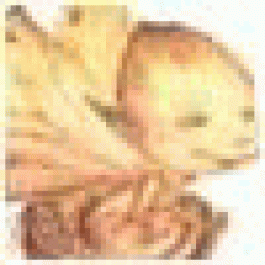Stephencaf