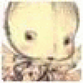 Stevenwer