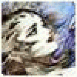 RobertRig