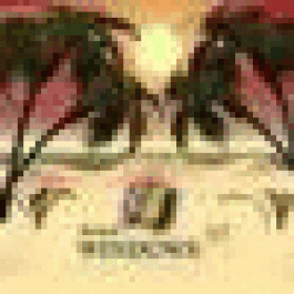 LouisSkymn