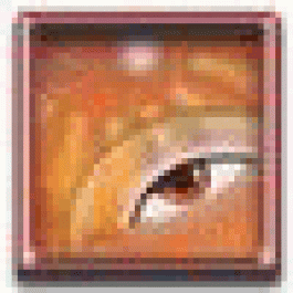 Lesterwhert