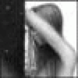 Stacielog