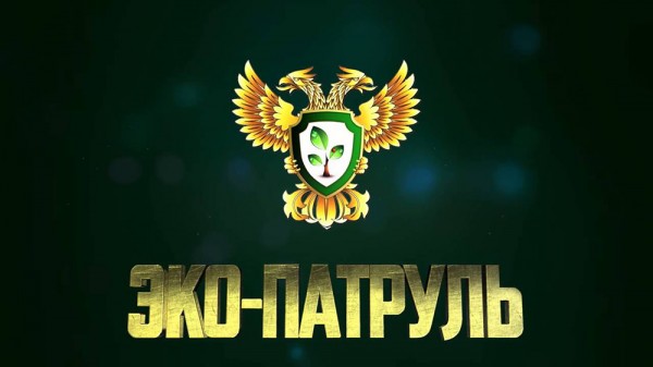 Итоги новогоднего экопатруля