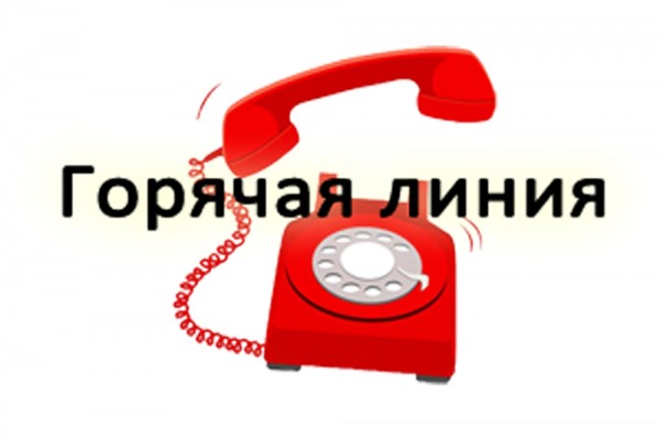 Горячая линия во Всеволожске